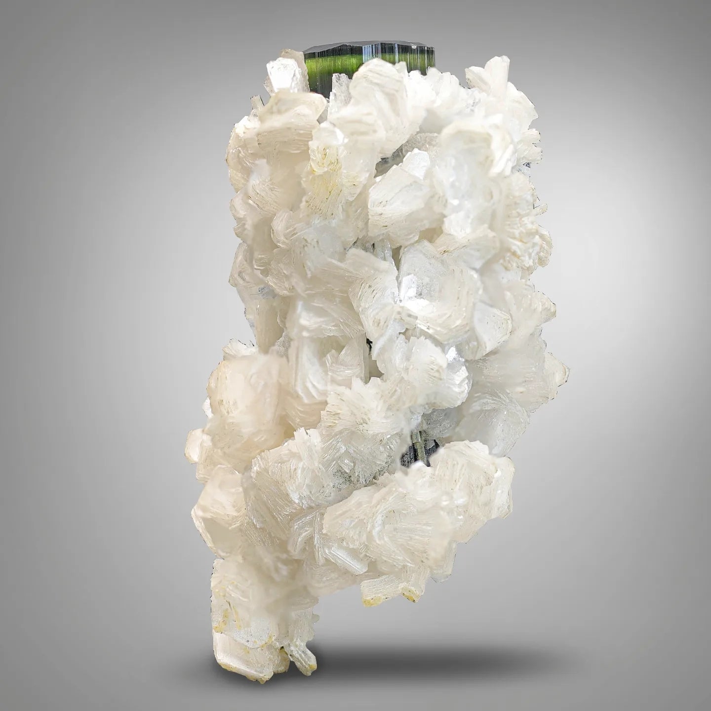 Lustrous Green Cap Tourmaline Perched on Albite with Muscovite from Pakistan