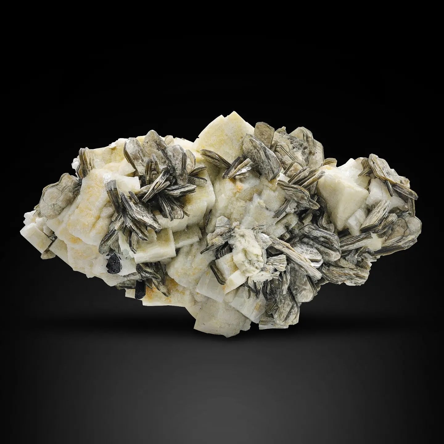 Muscovite Mica Rosettes On Microcline Feldspar From Pakistan