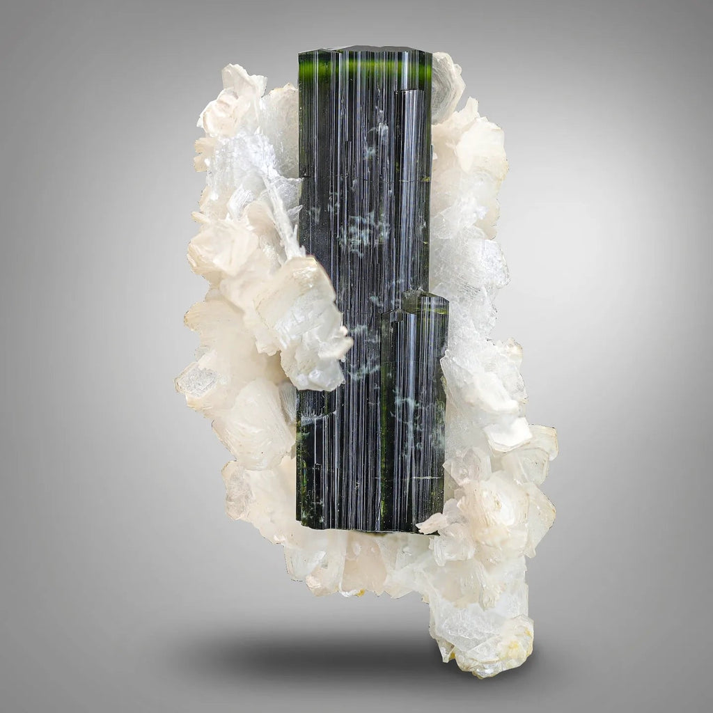 Lustrous Green Cap Tourmaline Perched on Albite with Muscovite from Pakistan