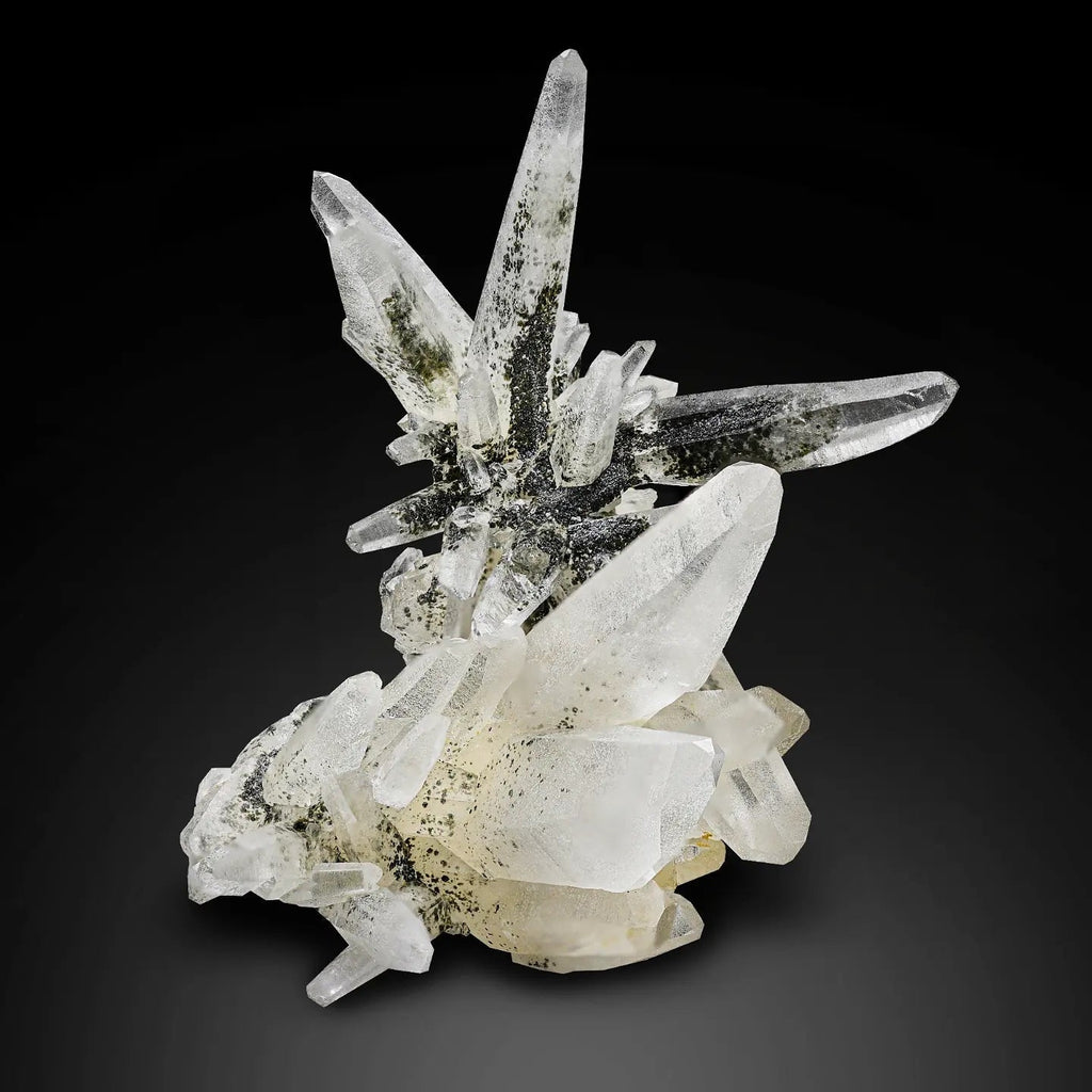 Robust clustering of Chlorite Quartz crystals on matrix from Pakistan