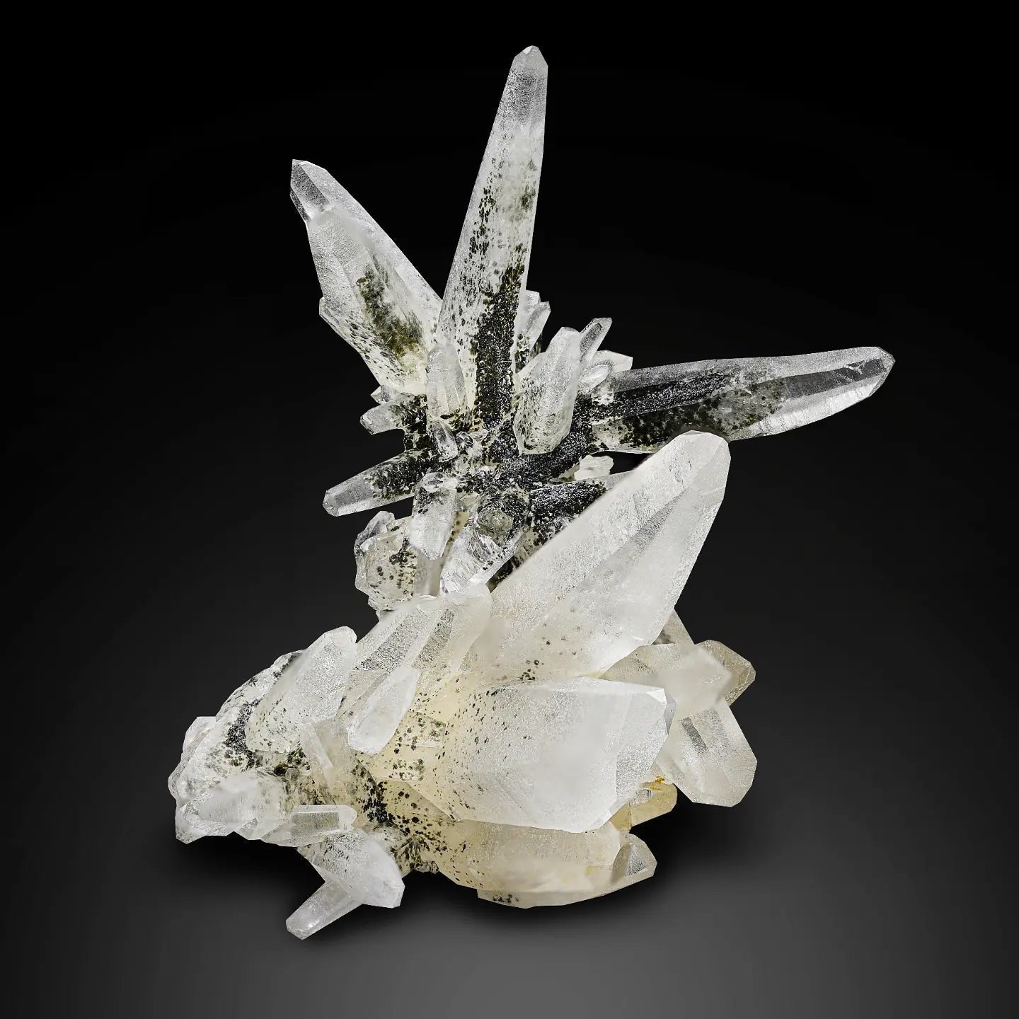 Robust clustering of Chlorite Quartz crystals on matrix from Pakistan