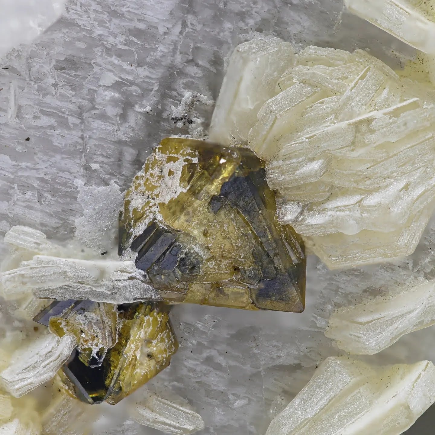 Rare Microlite Crystals on Microcline with Muscovite From Pakistan