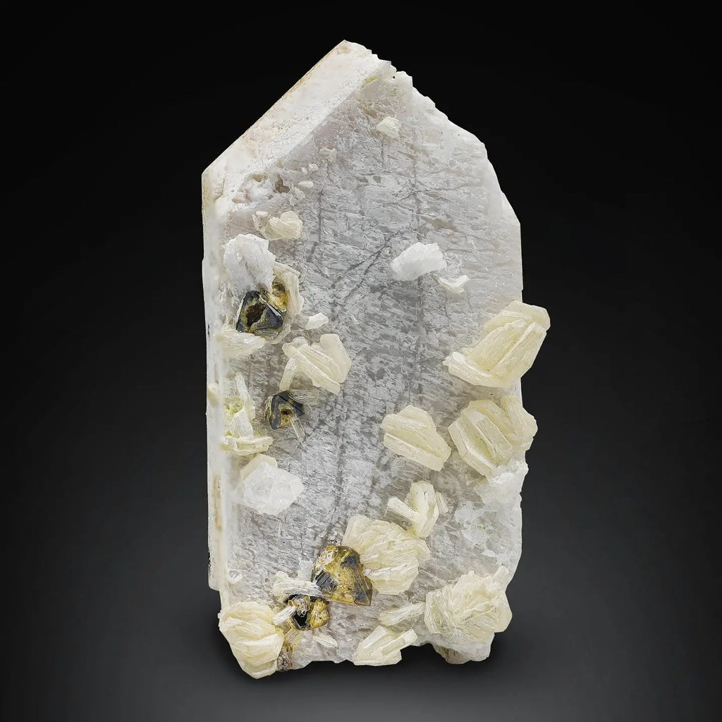 Rare Microlite Crystals on Microcline with Muscovite From Pakistan