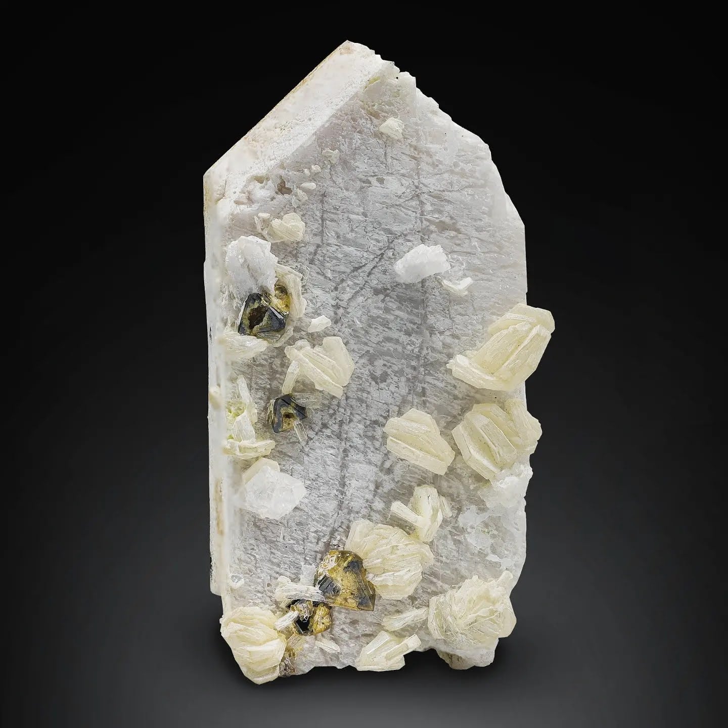 Rare Microlite Crystals on Microcline with Muscovite From Pakistan