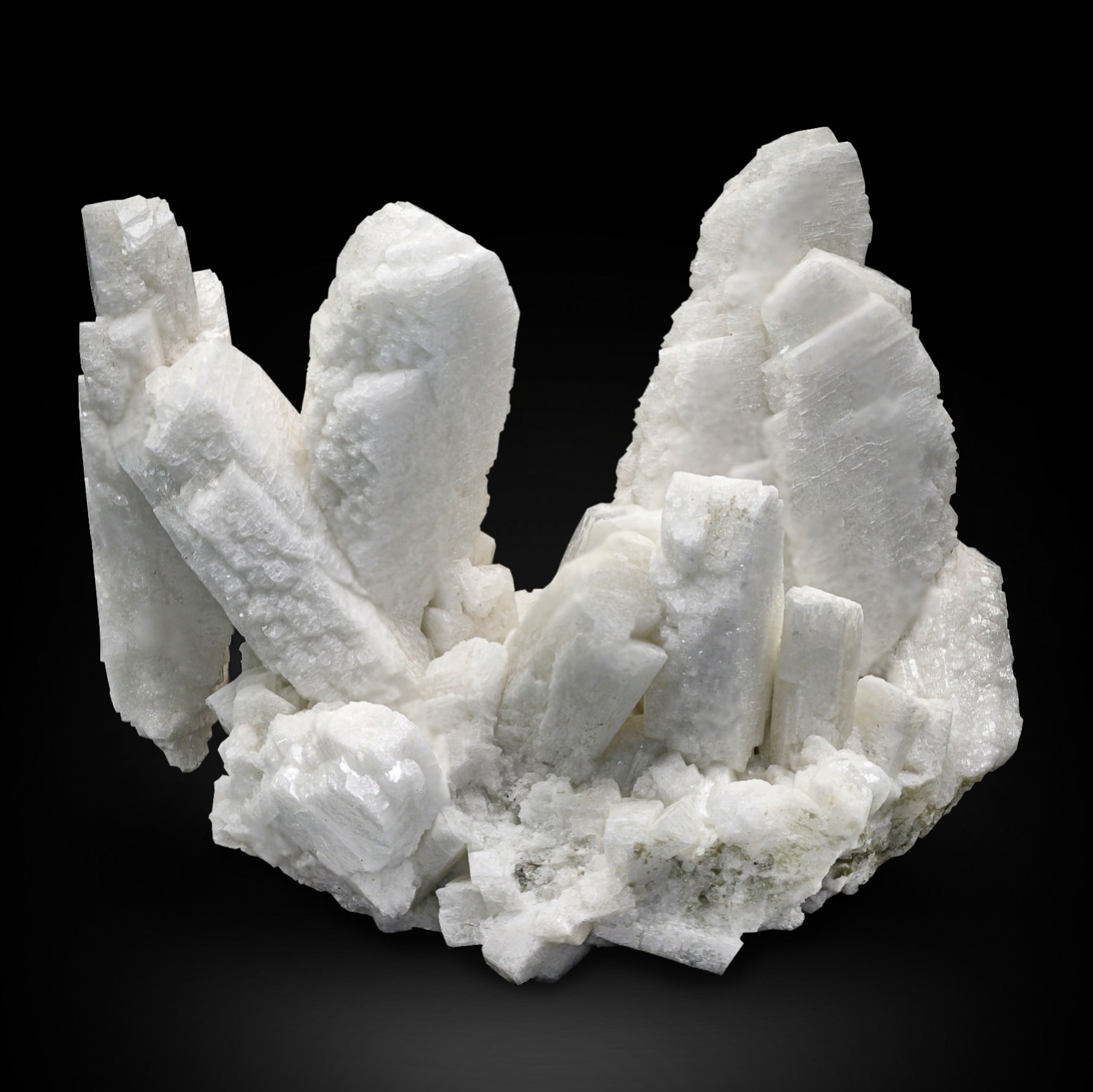Elongated snowy white Microcline crystals on Matrix
