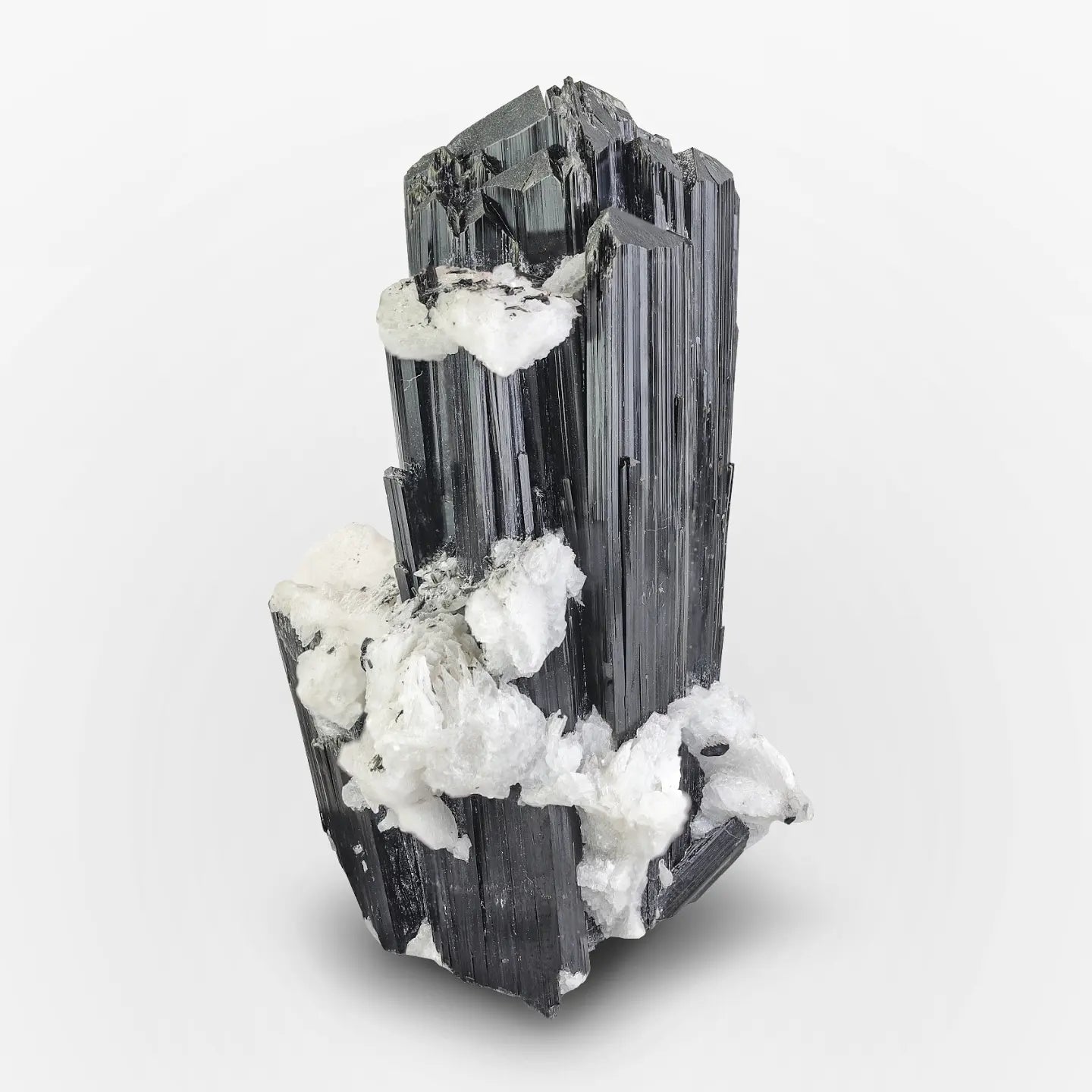 Contrasting Piece of Schorl Black Tourmaline with Albite from Pakistan