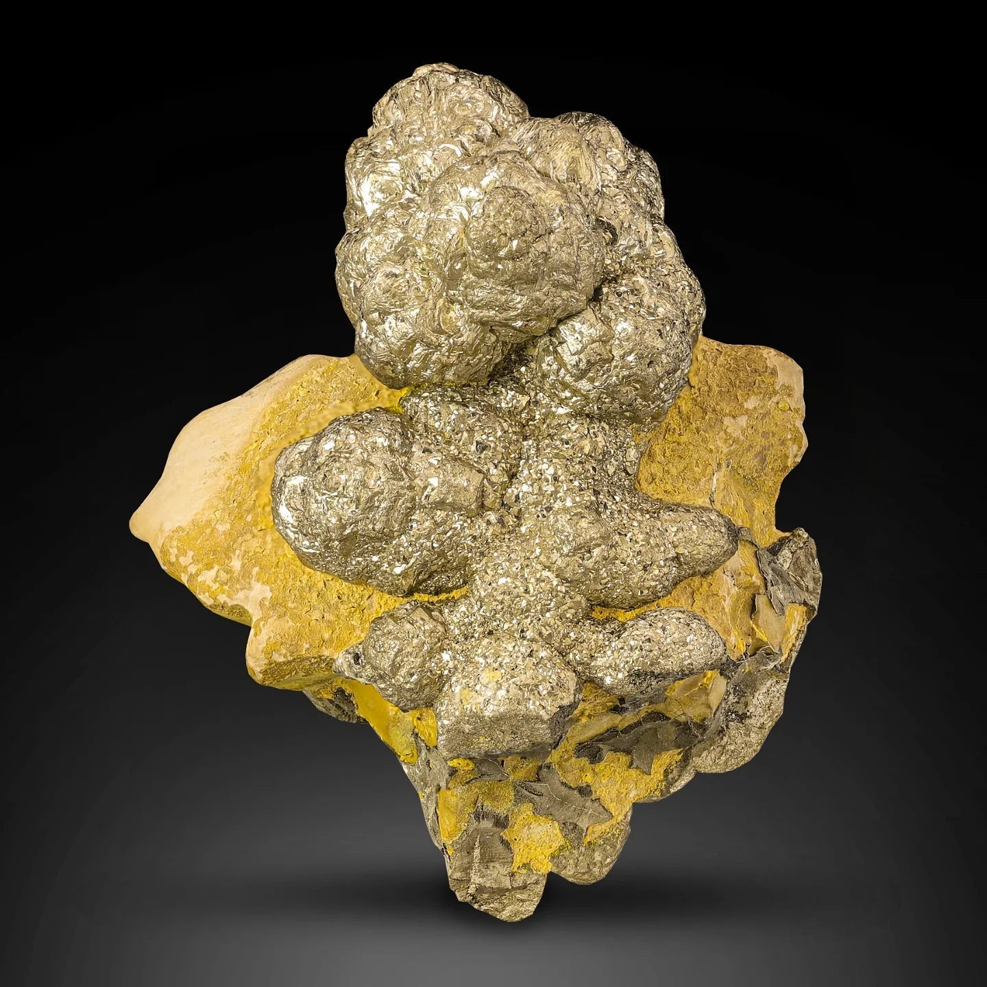 Attractive Golden Color Pyrite Crystals on Limonite Matrix from Pakistan