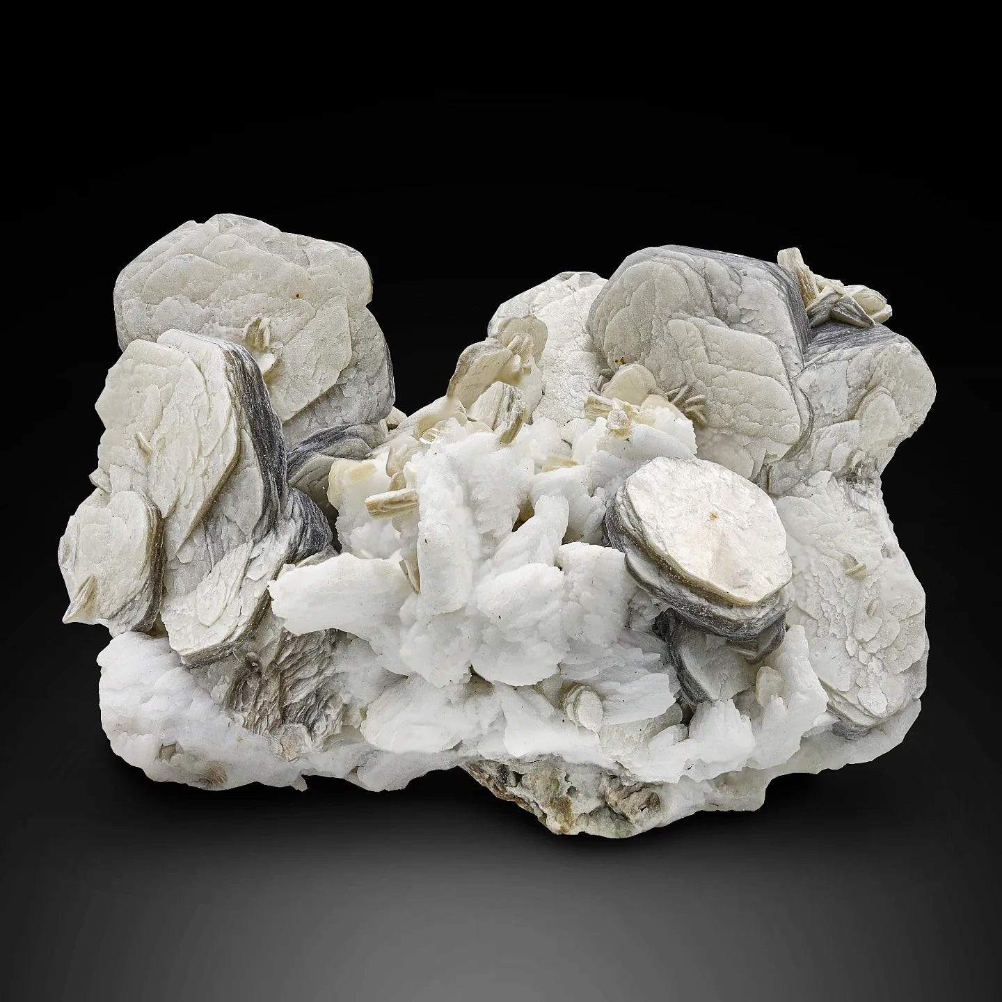 Aggregate of silver-gray color Muscovite Mica rossetts on Albite from Pakistan