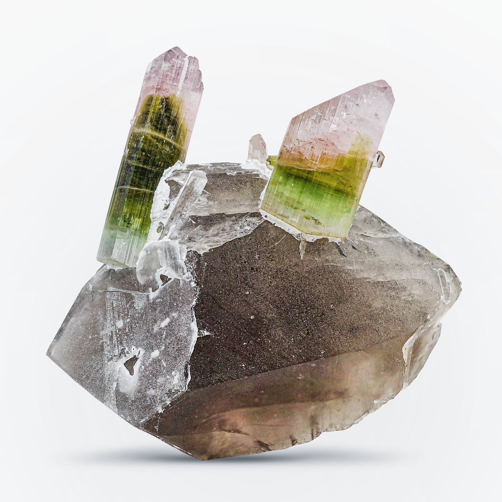 Bi Color Tourmaline Crystals On Smoky Quartz From Afghanistan