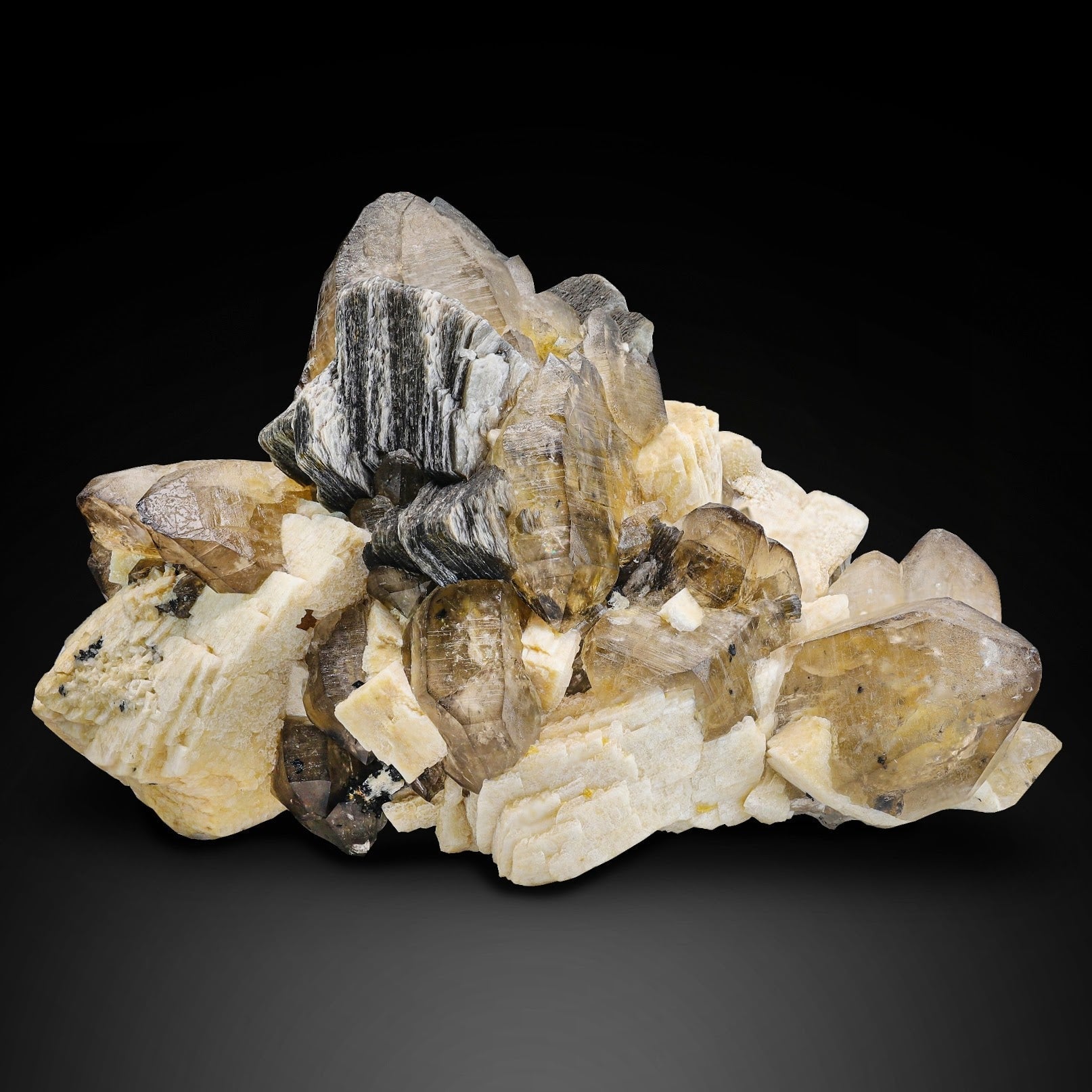 Large Cabinet Museum Level Specimen of Smoky Quartz