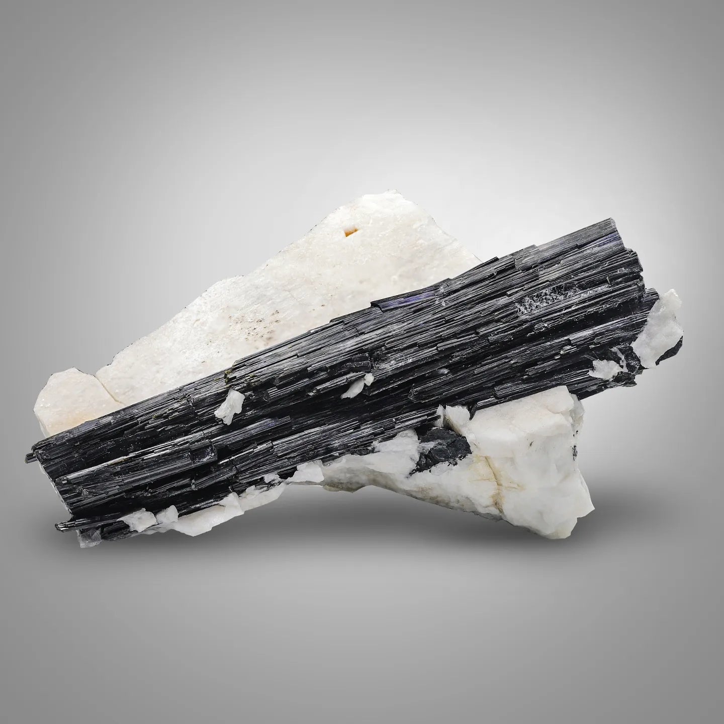 Schorl Black Tourmaline crystal nicely positioned on Albite from Pakistan