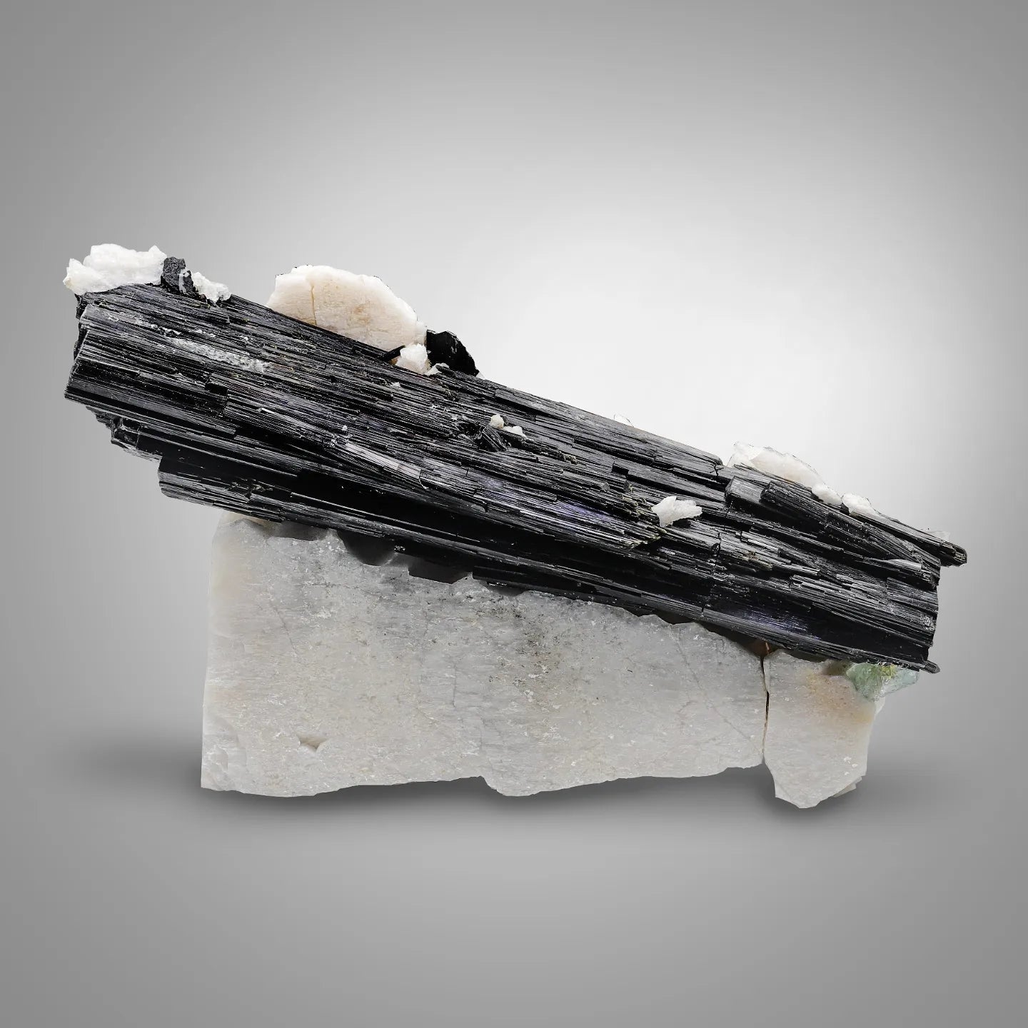 Schorl Black Tourmaline crystal nicely positioned on Albite from Pakistan
