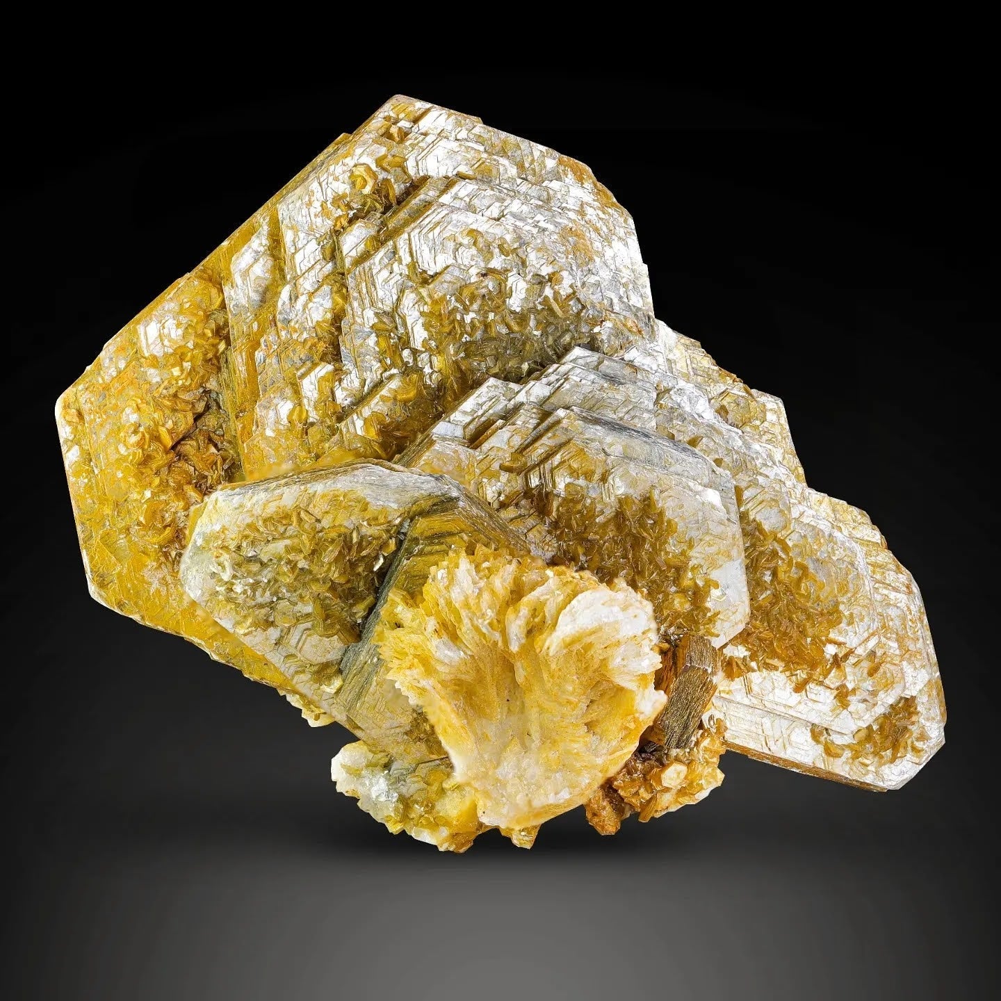 compact golden color Muscovite Mica with Cleavelandite from Pakistan