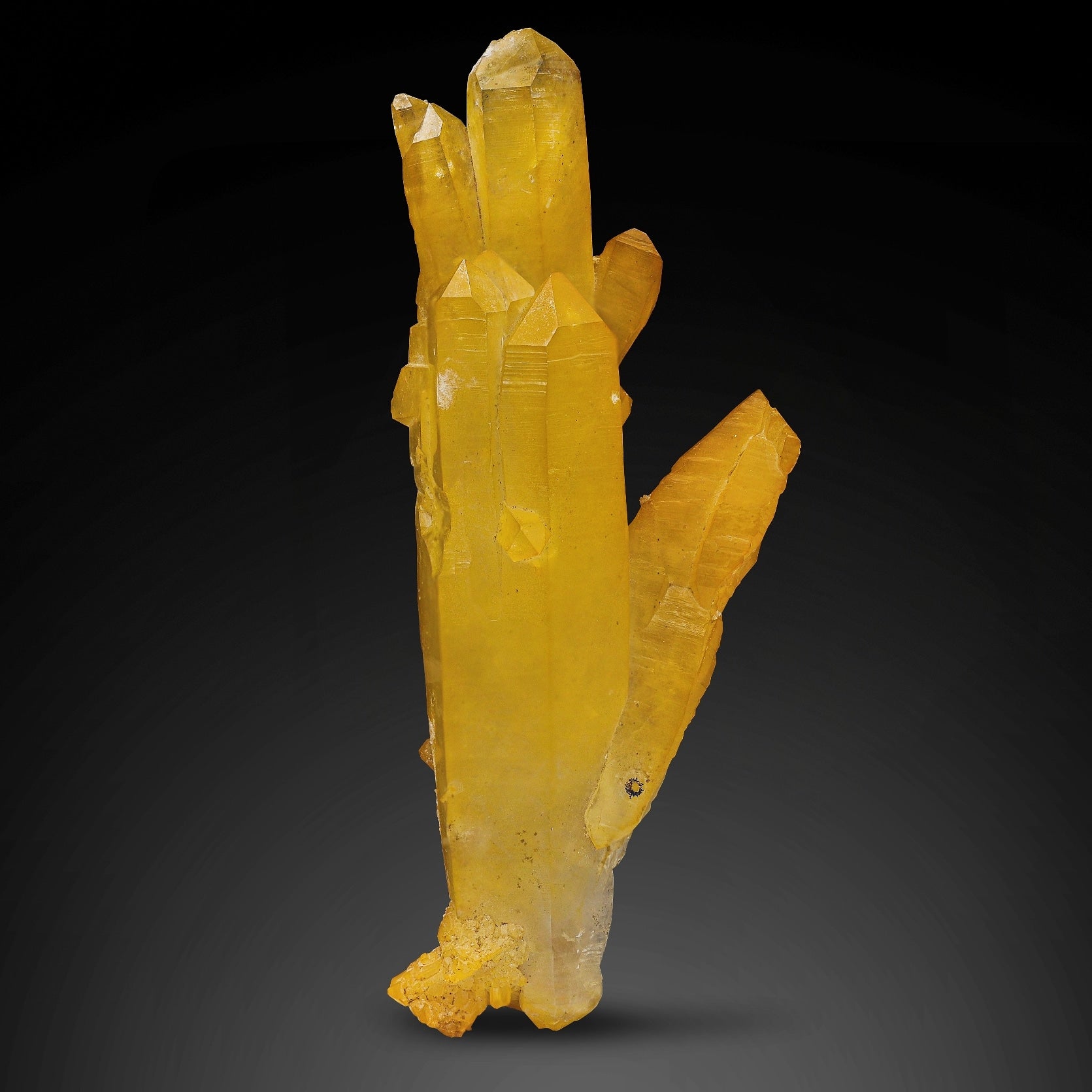 Sculptural and impressive elongated iron coated Quartz from Pakistan