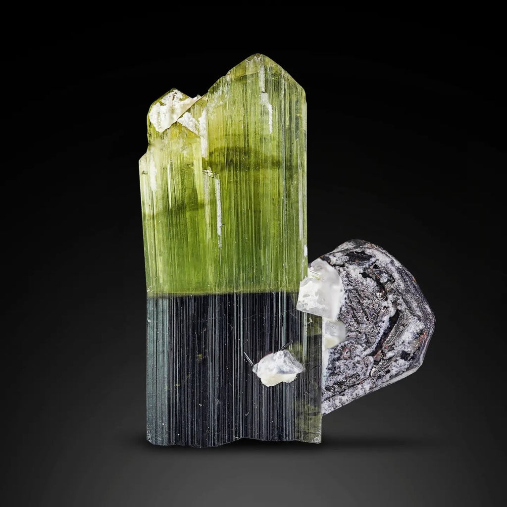 Combination Of Bi Color Tourmaline With Tantalite From Pakistan