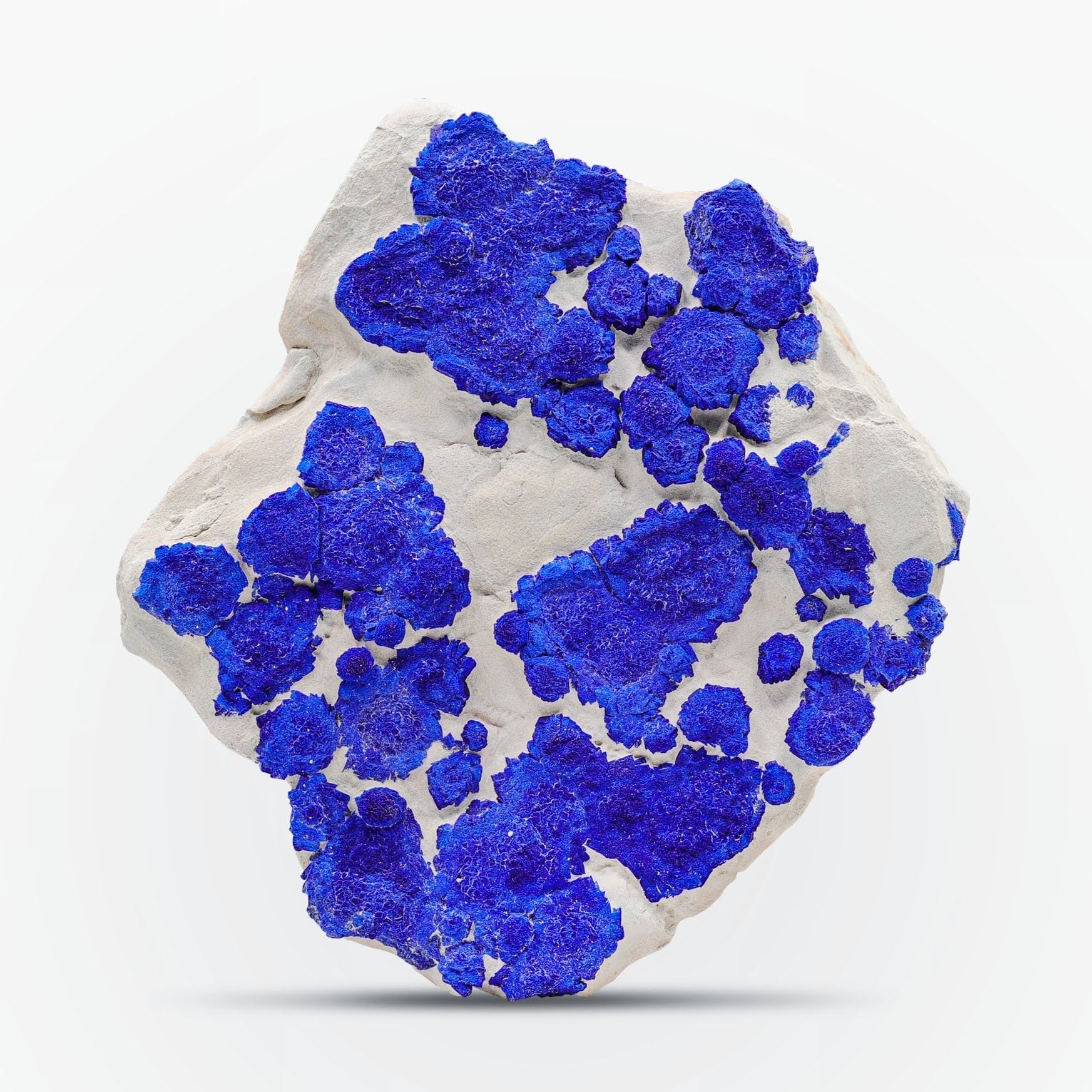 Rosettes Of Azurite Sun Crystals On Kaolinite Matrix From Australia