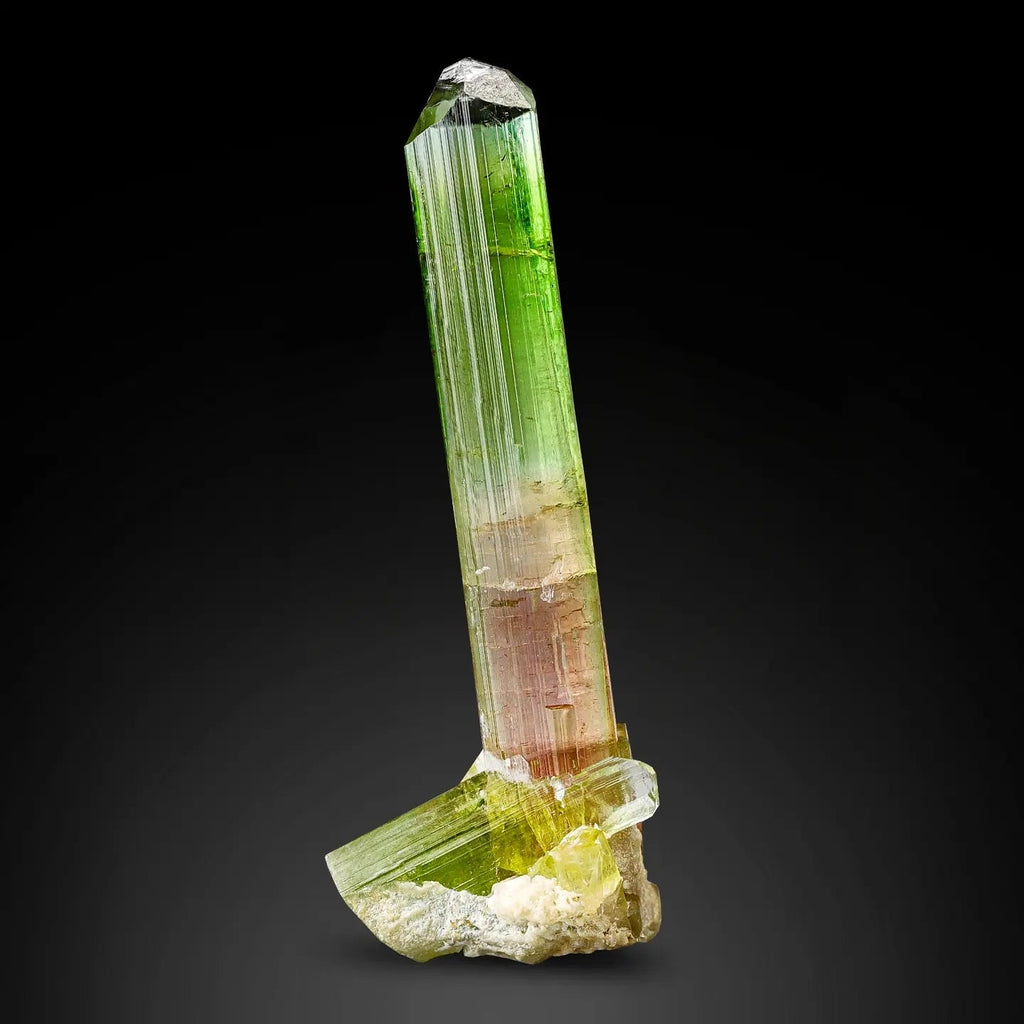 Multicolored  tourmaline  on a black background at Gandhara Fine Minerals