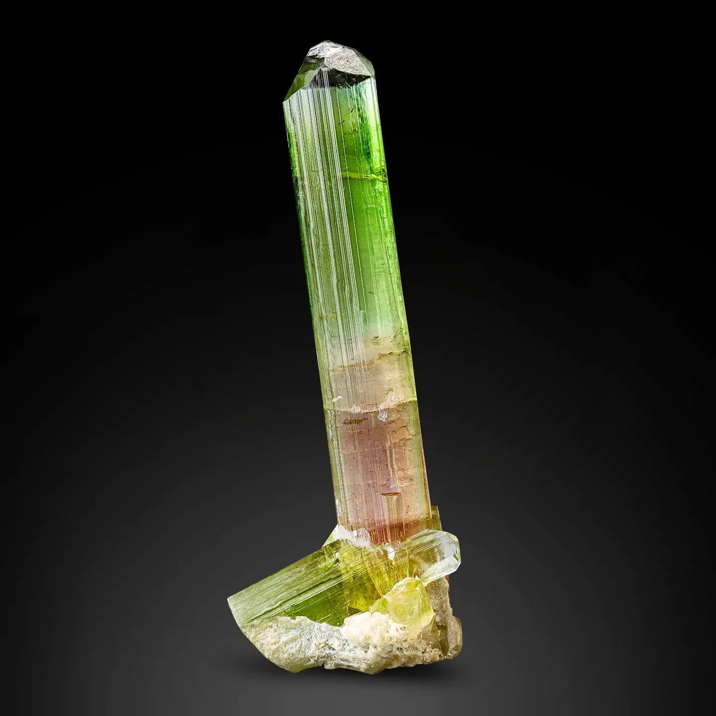 Multicolored  tourmaline  on a black background at Gandhara Fine Minerals