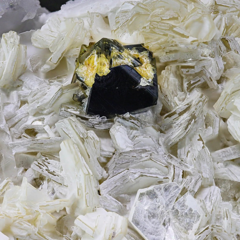 Terminated Bi Color Microlite Crystal On Mica From Pakistan