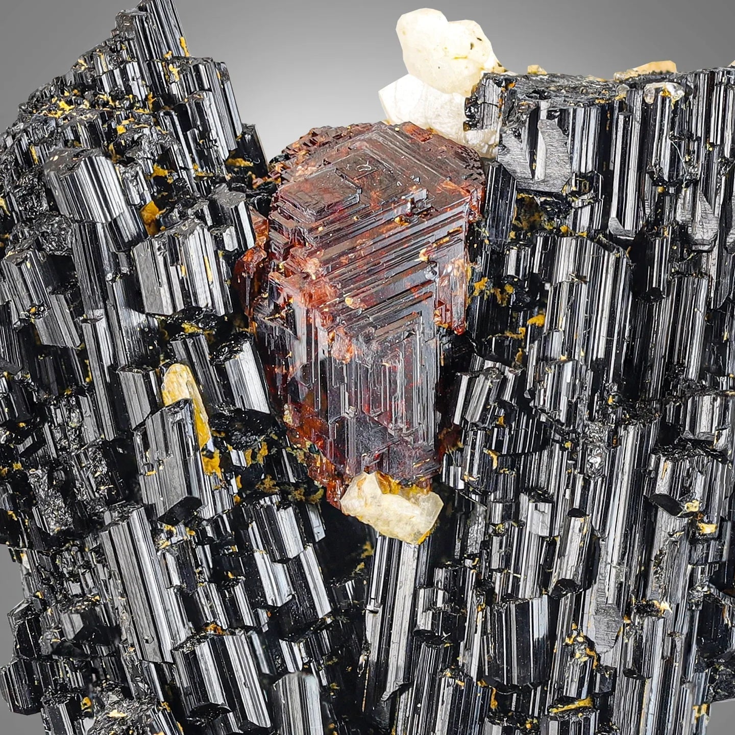 Gem Spessartine Garnet on V-shape Black Tourmaline from Skardu, Pakistan