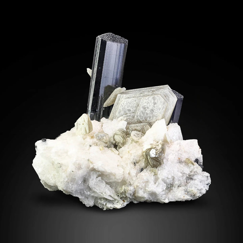 Mysterious Lustrous Schorl Black Tourmaline Crystals on Albite with Muscovite from Pakistan
