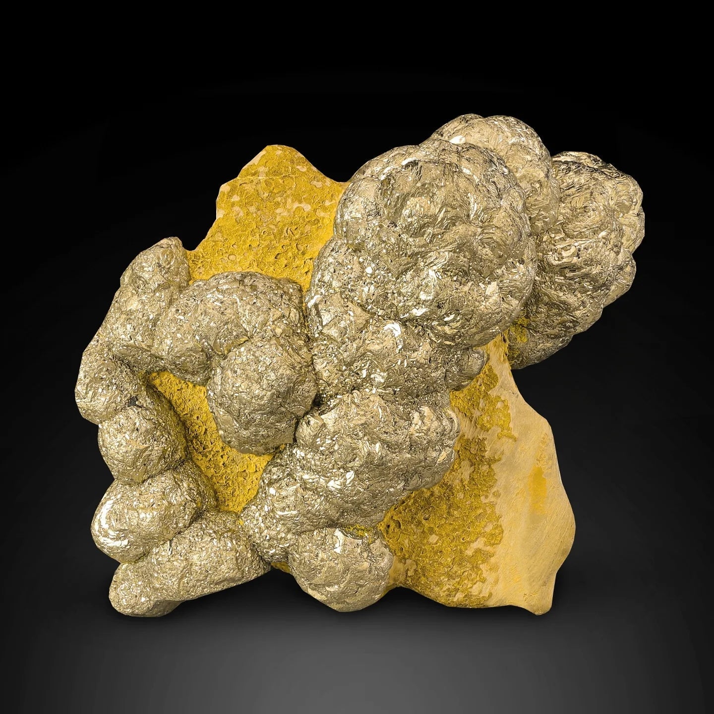 Attractive Golden Color Pyrite Crystals on Limonite Matrix from Pakistan