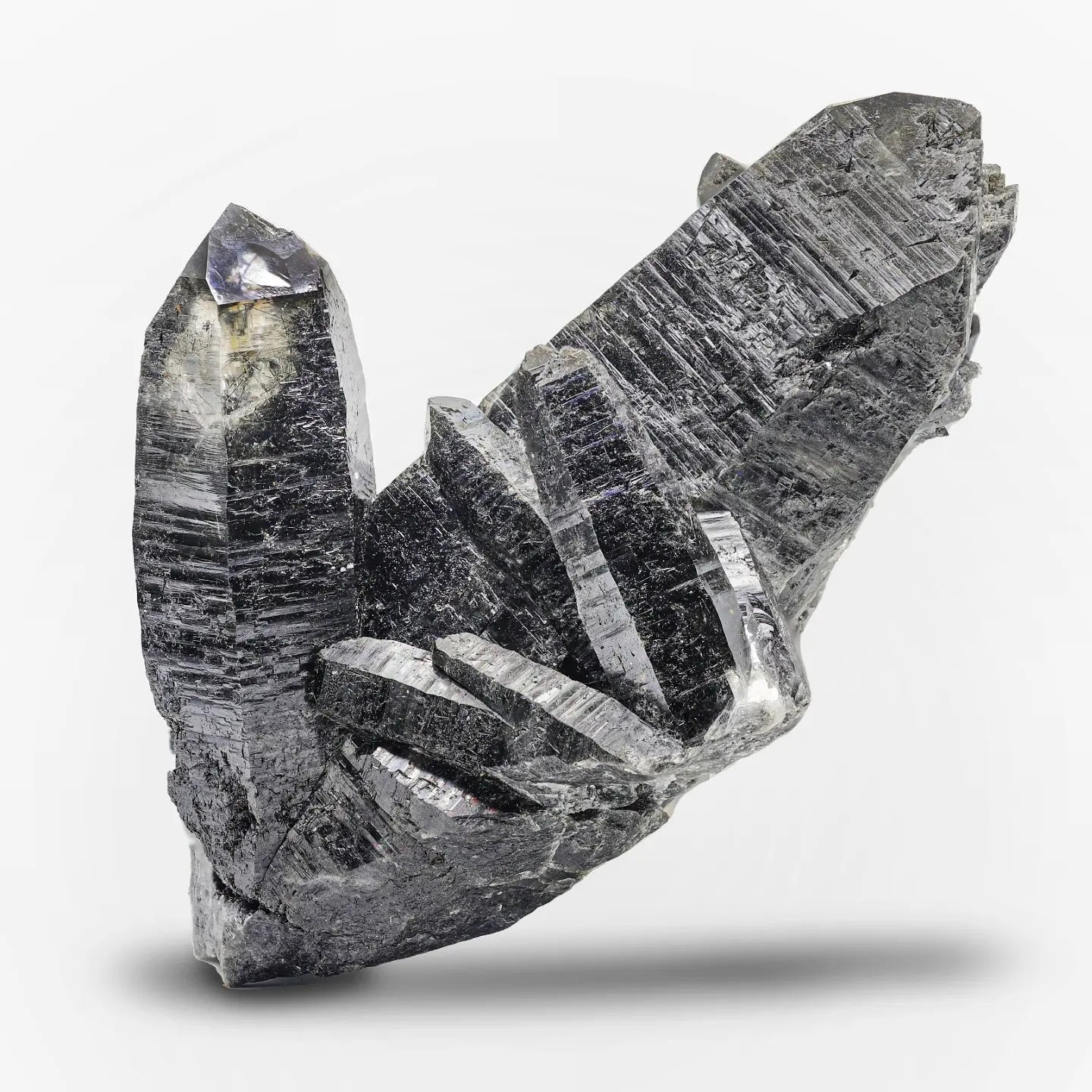 Specimen of Tourmaline included Quartz from Pakistan