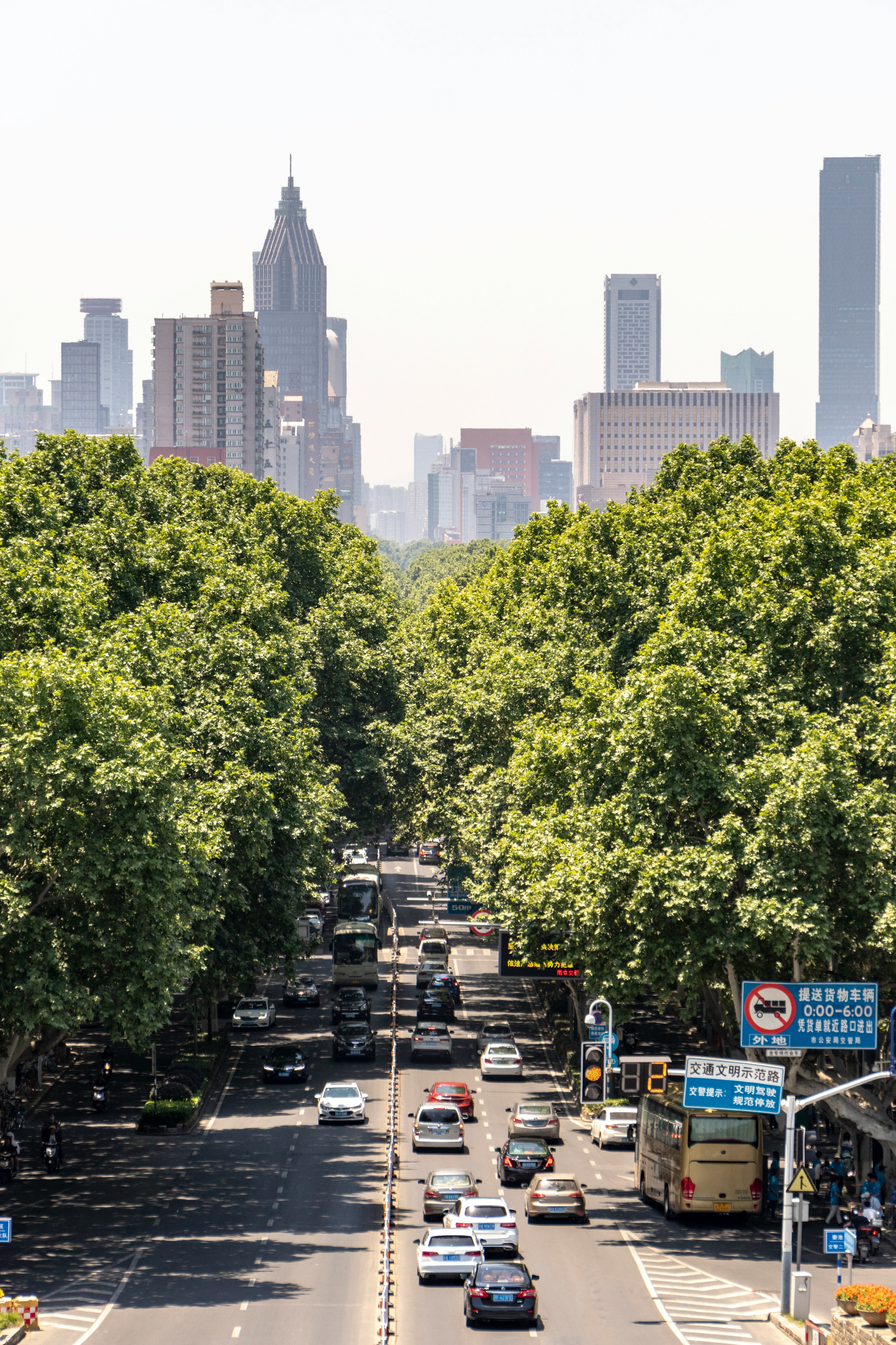 City street lined with trees leading towards a skyline of tall buildings.